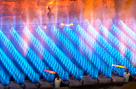 Rodington gas fired boilers